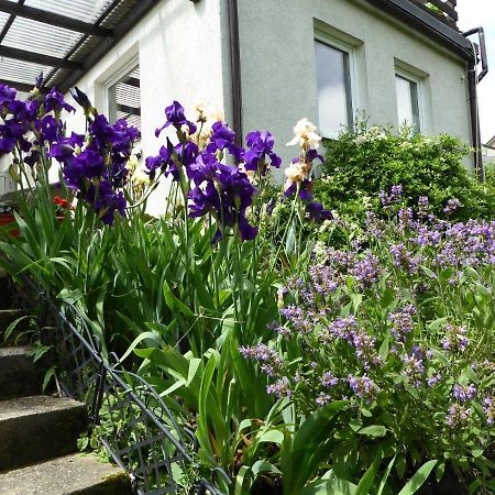 Fewo Batek Apartment Trechtingshausen Exterior photo